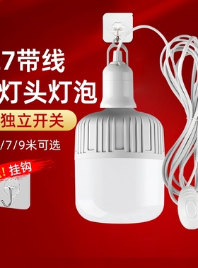 LED灯泡家用简易插座带插头开关线超亮节能护眼灯悬挂式E27螺口灯
