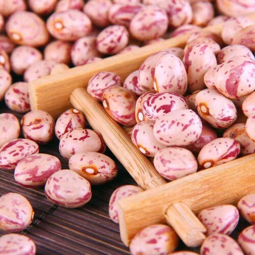 贵州特产芸豆奶花花生豆