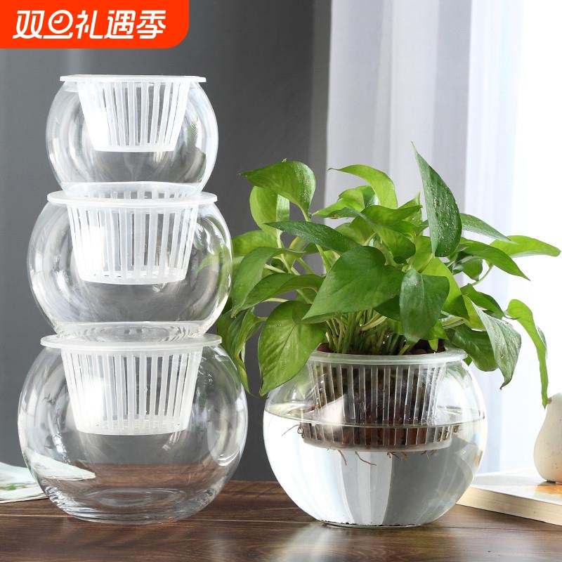 创意水培瓶植物透明玻璃花瓶容器绿萝花盆养花绿植缸水养摆件器皿