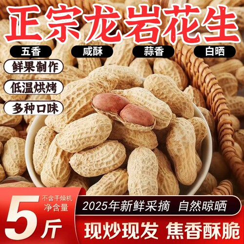 龙岩花生蒜香五香味花生米带壳炒货小零食下酒菜熟花生特产新鲜