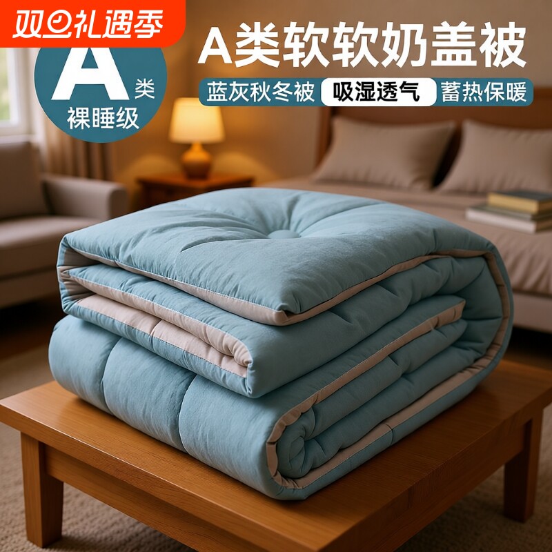 冬被四季通用加厚保暖床品被褥免被套出租屋软被被芯空调被毛毯子