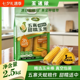 【玉送飨】五寨黄糯玉米350g*7-8支