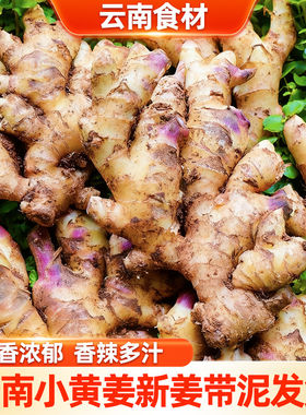 云南新鲜食材新姜农家新鲜生姜