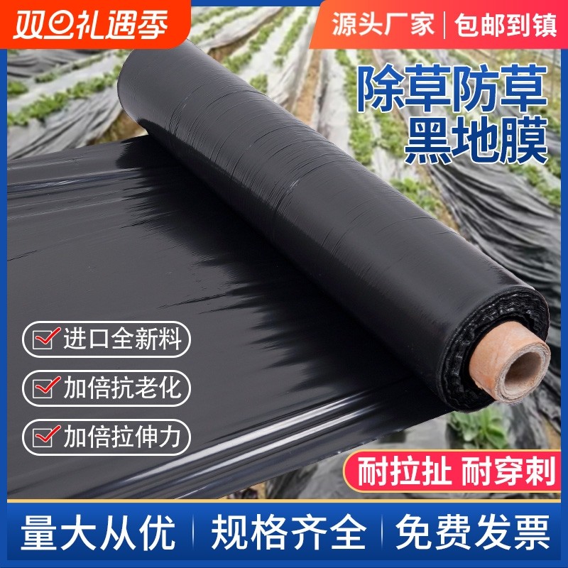 黑地膜除草膜农用加厚塑料薄膜黑膜保温保湿蔬菜大棚种植育苗防草