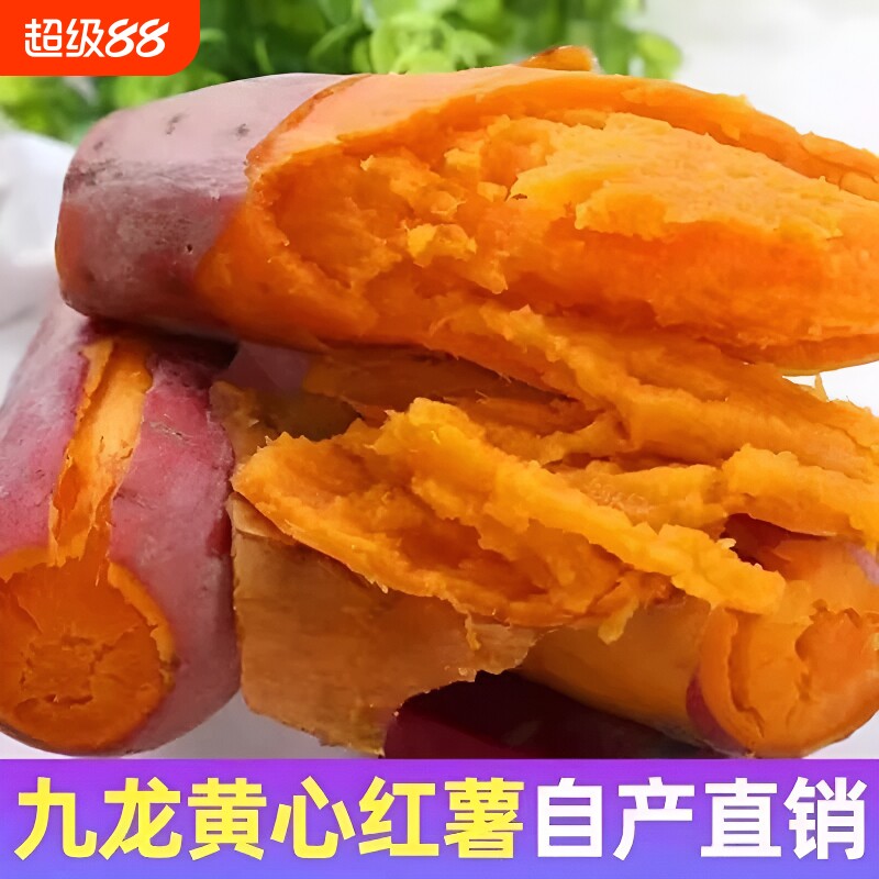 正宗蜜薯龙九沙地红心现挖黄心番薯新鲜糖心地瓜板栗红薯山芋批发图片
