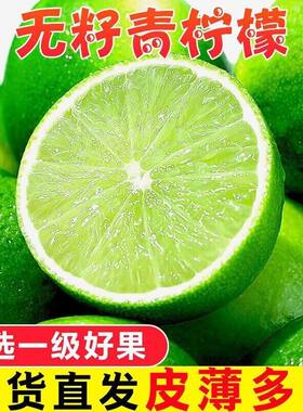 塔希提无籽柠檬青柠檬小绿多规格进口品质新鲜当季皮薄奶茶现摘