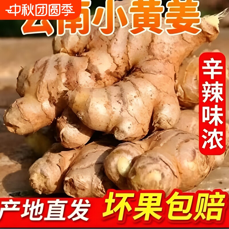 正宗小黄姜2年老姜新鲜生姜姜芽图片