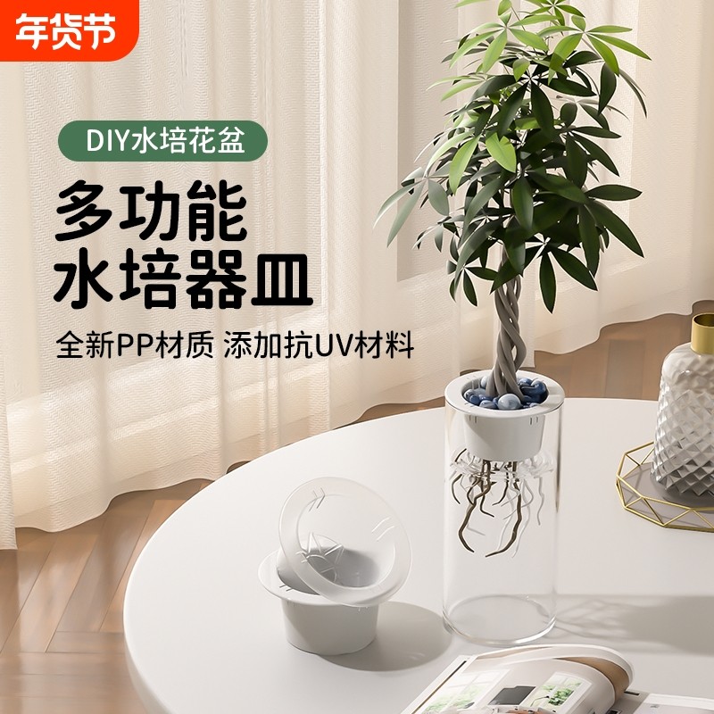 专业水培定植篮自吸水花盆水培亚克力水养花盆整套加厚塑料固根器,家居饰品,花盆,淘宝优惠券,粉丝福利购,淘宝优惠卷