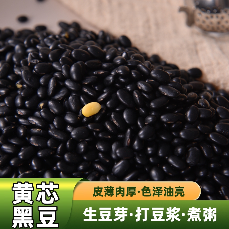 黄芯黑豆非转基因大豆皮薄易煮颗粒饱满农家自种五谷杂粮打豆浆用