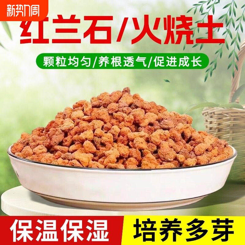 红火山石颗粒火山岩铺底兰花专用土多肉营养土水族鱼缸垫底砂铺面
