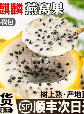 燕窝果新鲜水果麒麟果黄色火龙果稀有现摘大果当季鲜果热带水果