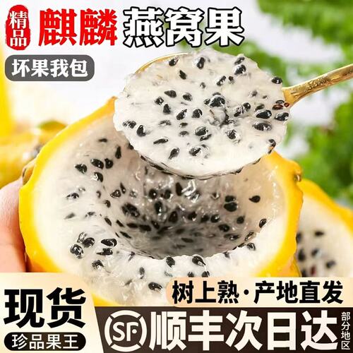 燕窝果新鲜水果麒麟果黄色火龙果稀有现摘大果当季鲜果热带水果