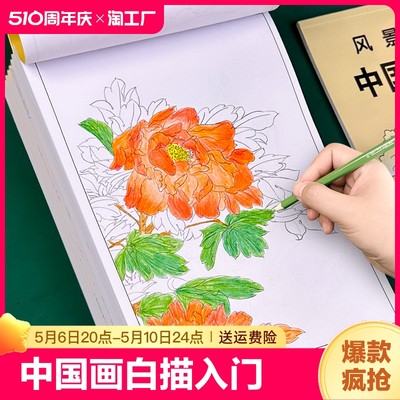 中国画白描入门描摹本国画工笔画