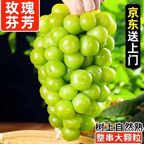 阳光玫瑰葡萄新鲜水果5斤礼盒晴王香印青提当季整箱批发京东包邮