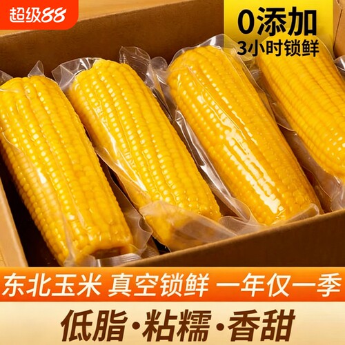 东北黄糯玉米香甜软糯粘黏苞米整箱装真空锁鲜加热即食非冷冻新鲜