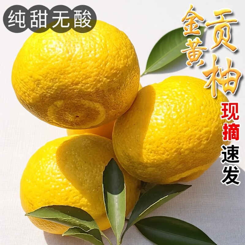黄金贡柚湖南怀化新鲜水果9斤甜柚手剥柚子当季现摘象山柚纯甜