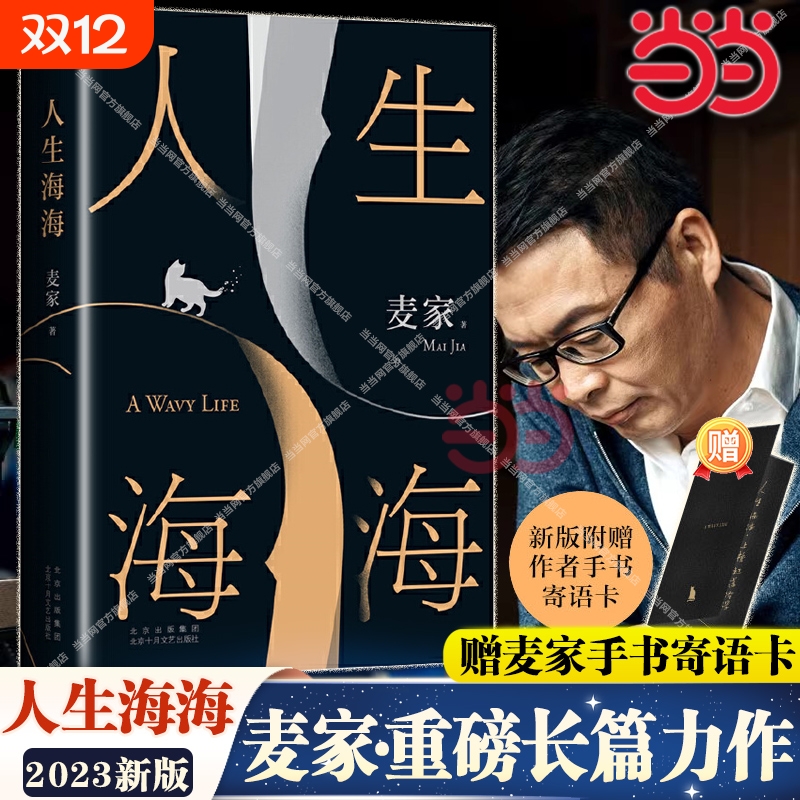 人生海海麦家经典长篇力作