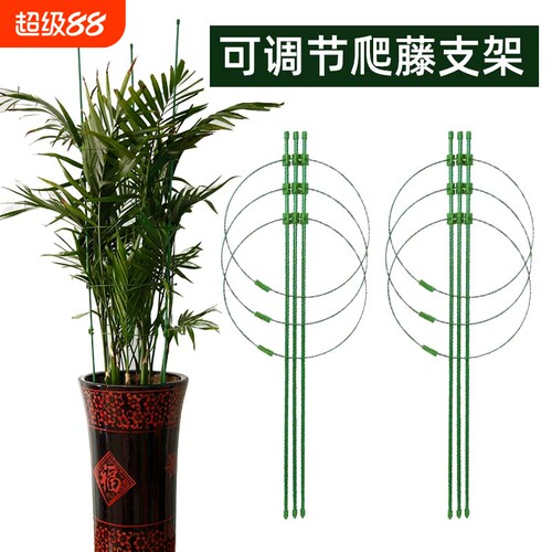 可调节爬藤架花架园艺支撑攀爬架