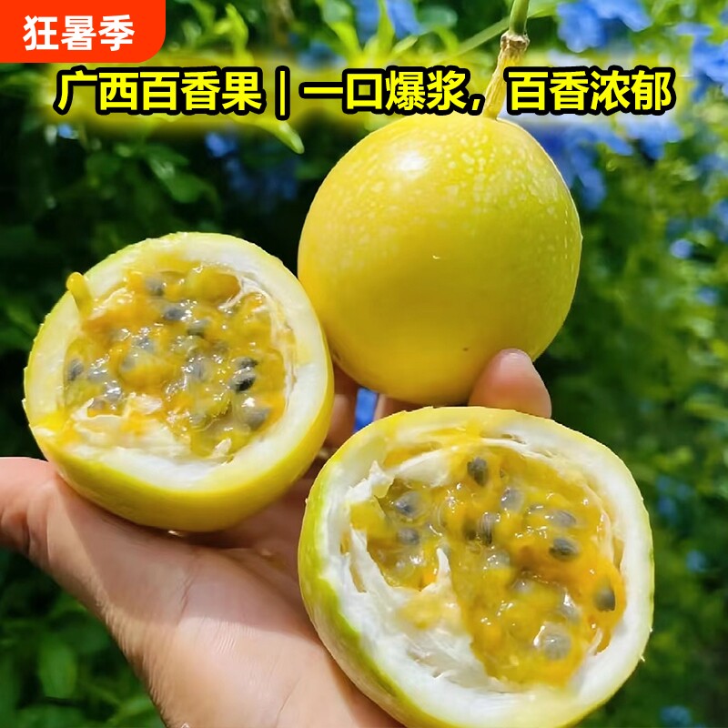 广西百香果钦蜜9号纯甜黄金百香果新鲜包邮中大果 送开果器