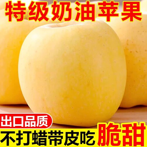 山东黄金奶油富士苹果爆汁脆甜新鲜水果当季无公害批发糖心大果