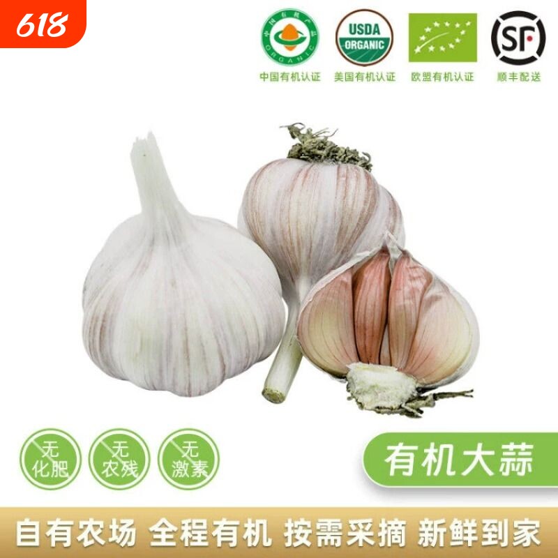 2026新蒜邳州大蒜精品5cm条特级紫皮干果实饱满产地直发新鲜