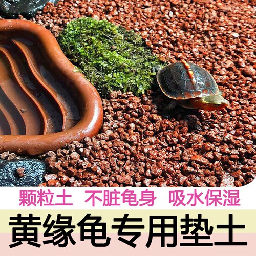 黄缘龟专用红砂土天然风化颗粒土养龟造景赤玉土垫材选择植物