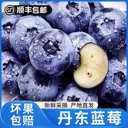 丹东蓝莓当季新鲜水果脆甜多汁整盒蓝莓果子孕妇辅食水果顺丰包邮