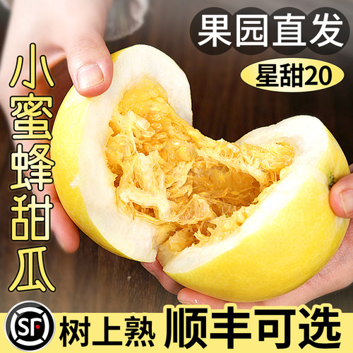 山东小蜜蜂甜瓜新鲜水果头茬现货星甜20蜜罐整箱包邮西瓜挑选现摘