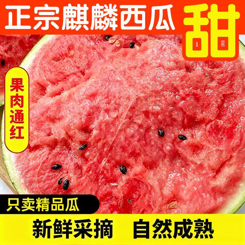 云南麒麟西瓜薄皮西瓜现摘脆甜多汁头茬瓜当季新鲜水果自提精品
