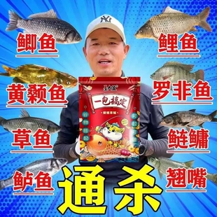 秋冬邓刚专攻一包搞定钓鱼饵料钓鲫鱼鲤鱼草鱼鳊鱼青鱼野钓通杀饵