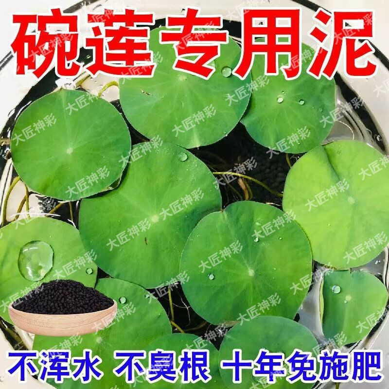 碗莲铜钱草专用泥免洗水草泥不浑水不粉化鱼缸水培植物碗莲专用泥