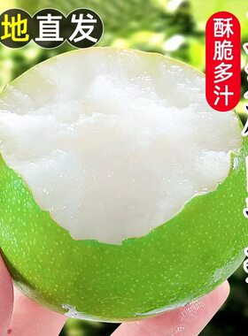 正宗砀山青皮梨子新鲜酥梨