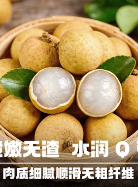 广东石硖龙眼桂圆热带应季水果