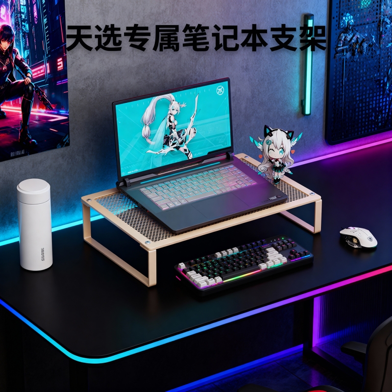 笔记本电脑支架散热烧烤置物架