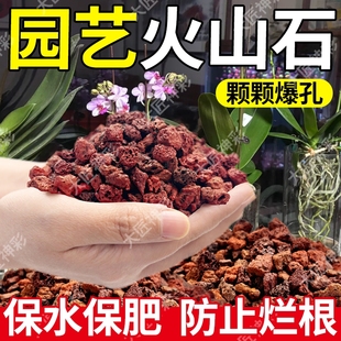 火山石养花蝴蝶兰花专用土多肉专用颗粒土营养土水培鱼缸底砂土壤