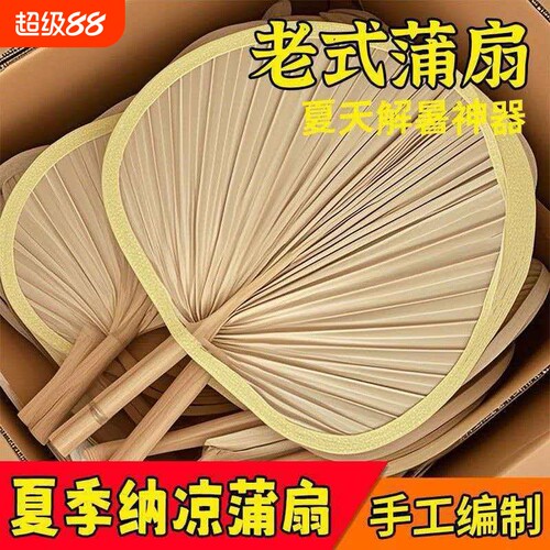 扇子蒲扇老式大蒲扇夏季儿童宝宝竹编夏天手摇手工编织芭蕉古风扇