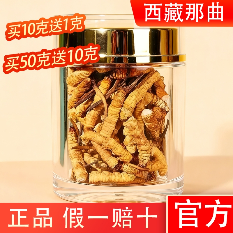 精选那曲特级野生冬虫夏草大断草新货头期干刷正品官方假一赔十