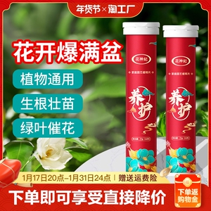 植物营养片缓释片通用型氮磷钾复合肥肥料花肥家用盆栽肥园艺家庭