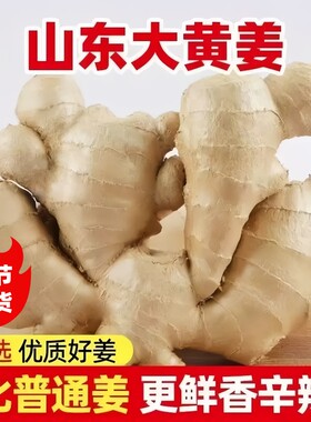 正宗山东生姜老姜大姜大黄姜3斤/5斤新鲜月子土干姜农家自提优质