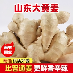 正宗山东生姜大姜老姜大黄姜3斤/5斤新鲜月子生姜土干姜农家种植