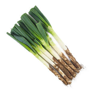 农家铁杆大葱脆嫩多汁精品无硬芯现挖现发正宗易储存可栽种