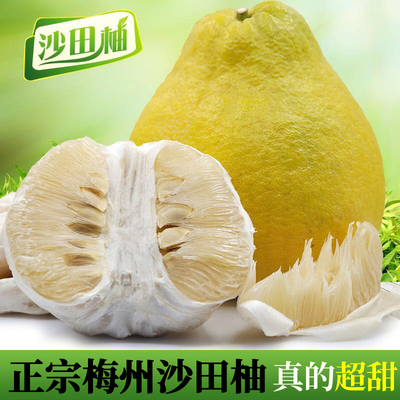 箱装优选精品正宗梅州沙田柚纯甜