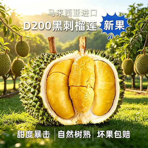 黑刺榴莲D200马来进口AA级