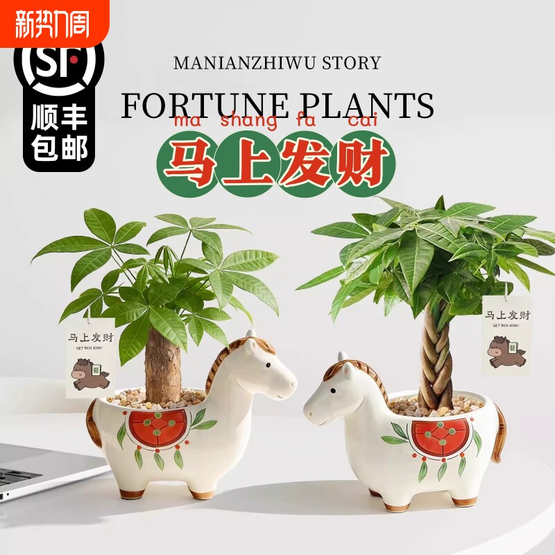 马上发财小马新款发财树小盆栽办公室桌面绿植招财植物马年伴手礼