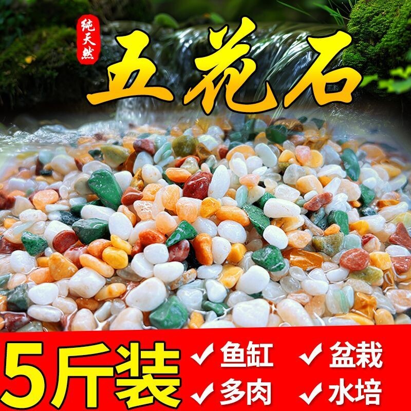 【天然五彩花石】水族鱼缸造景石头底砂多肉花盆铺面园艺铺路装饰