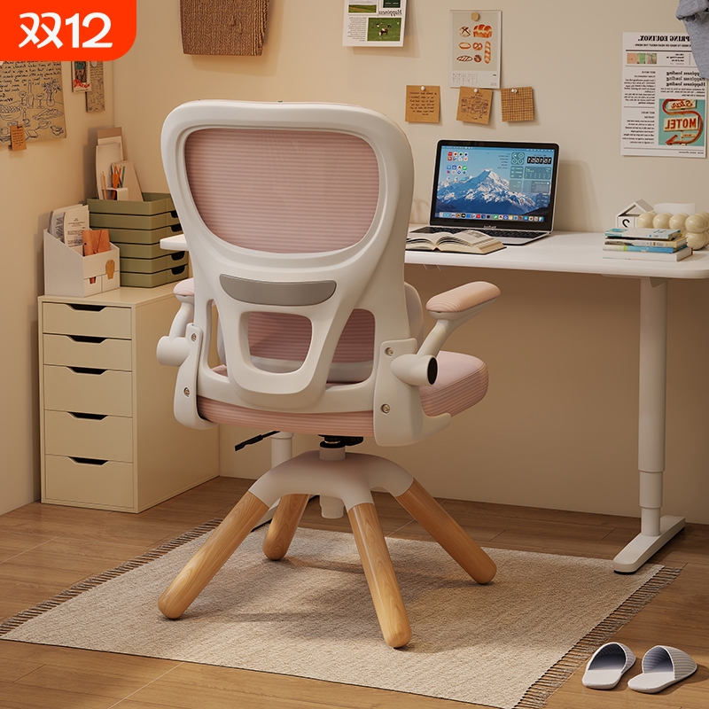 中小学生学习椅可升降书桌写字椅