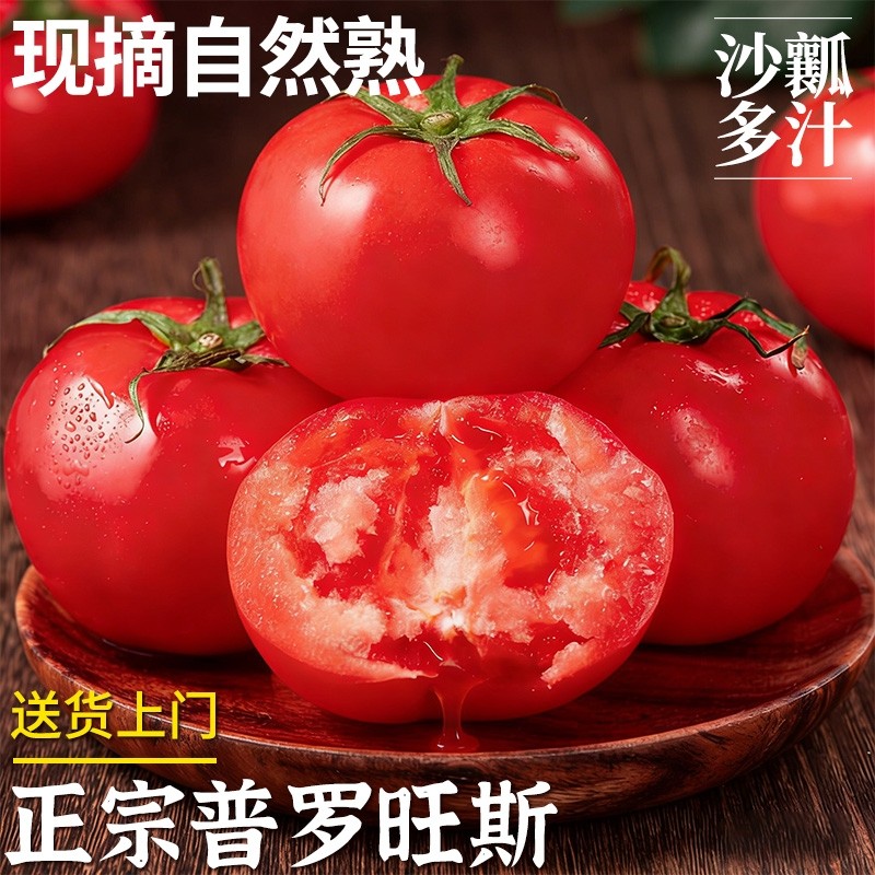 正宗普罗旺斯西红柿10斤新鲜蔬菜水果当季草莓柿子自然熟沙瓤番茄