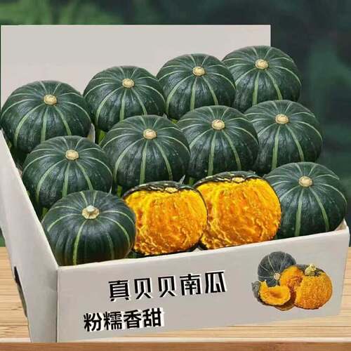 贝贝南瓜正宗板栗味当季小南瓜