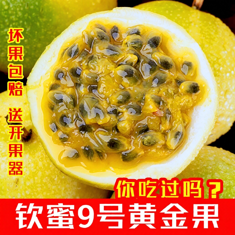 钦蜜9号黄金百香果广西新鲜水果孕妇当季大果3斤现摘现发黄金果
