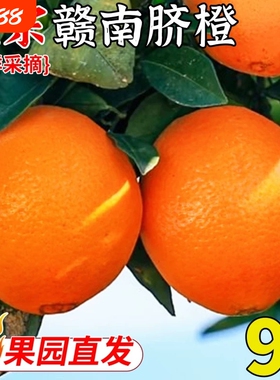 正宗赣南脐橙当季新鲜橙子应季甜橙多汁薄皮大果寻乌脐橙果园年货
